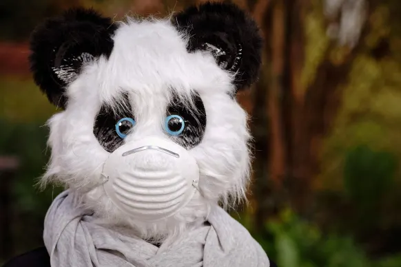 BitReels Kasyno Wsparcie